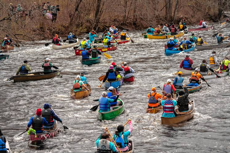 Canoeists make their way down the Millers River for the 59th annual River Rat Race, held on Saturday, April 13.