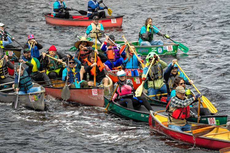Canoeists make their way down the Millers River for the 59th annual River Rat Race, held on Saturday.